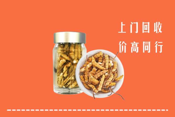 黔东南台江县回收冬虫夏草